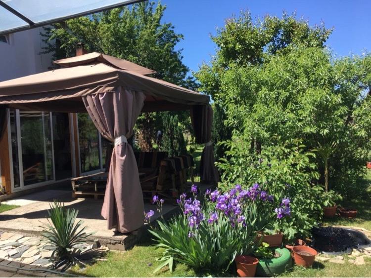 Appartement Къща Ивона à Sapareva Banya Extérieur photo